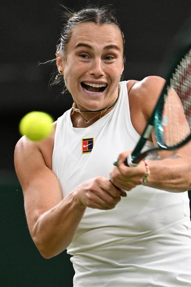 其他合适的 其他合适的